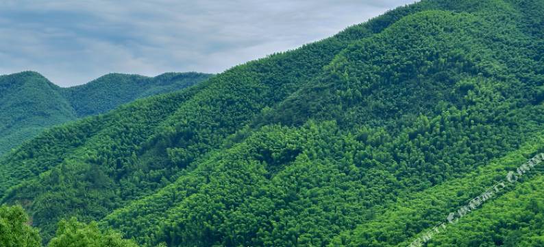微泮·安吉心语田·山野溯溪亲子度假美宿(森林奇境乐园店)图片