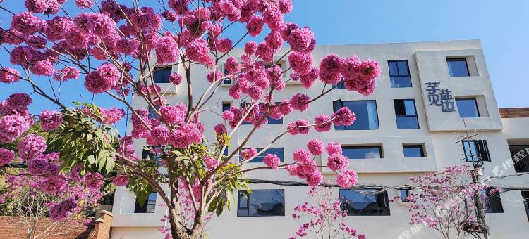 金芋别院民宿(盐边店)图片