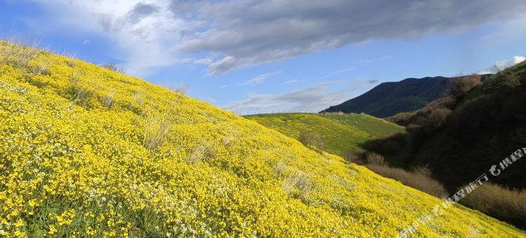 巩留继东酒店(库尔德宁店)图片