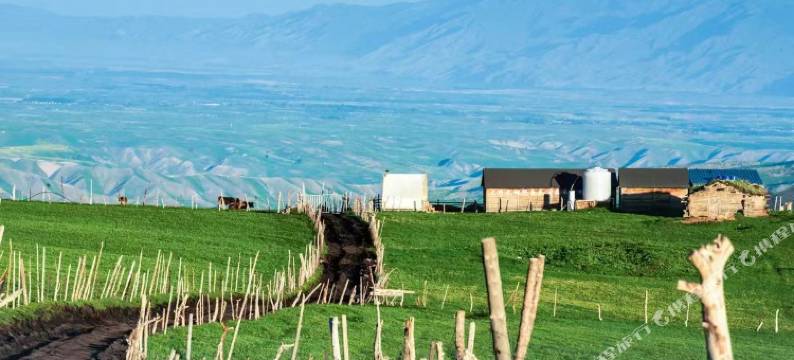 喀拉峻森禾营地图片