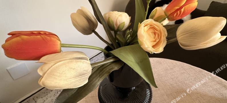 憨豆酒店公寓(郑州国贸公寓店)图片