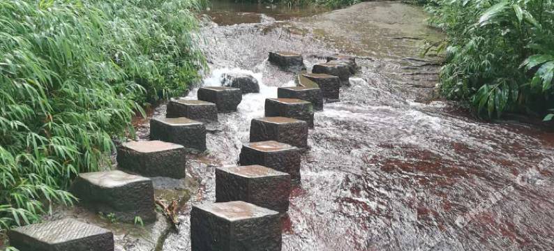 蜀南竹海竹淋客栈图片