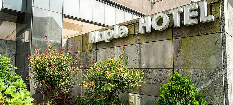枫树酒店(Hotel Maple)图片