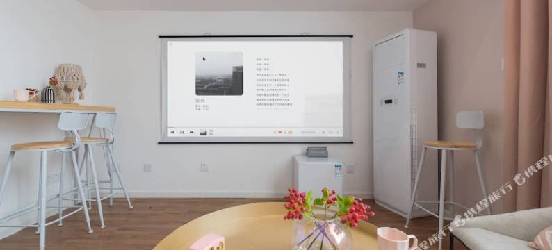 成都闺中密友LOFT公寓图片