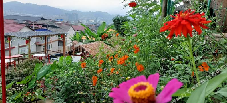 张家界望仙门客栈(荷花机场店)图片