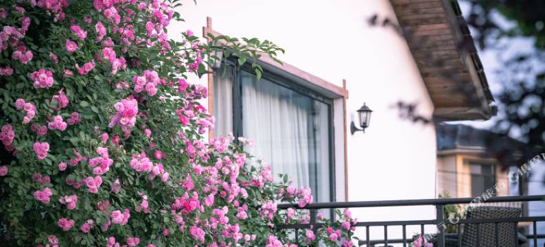 杭州上舍民宿图片