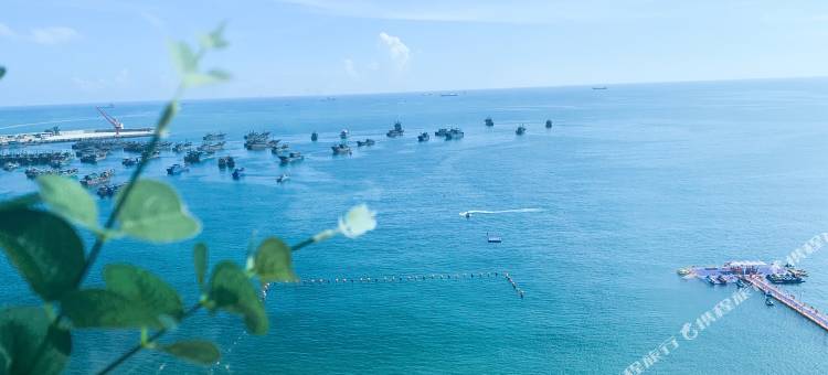南澳绵羊·临海居图片