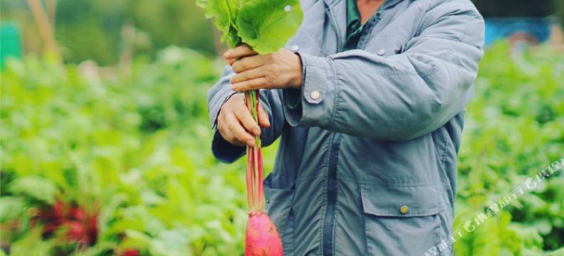 杭州富春山居高尔夫度假村图片