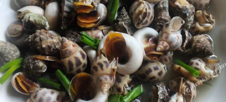 象山悦来客栈图片