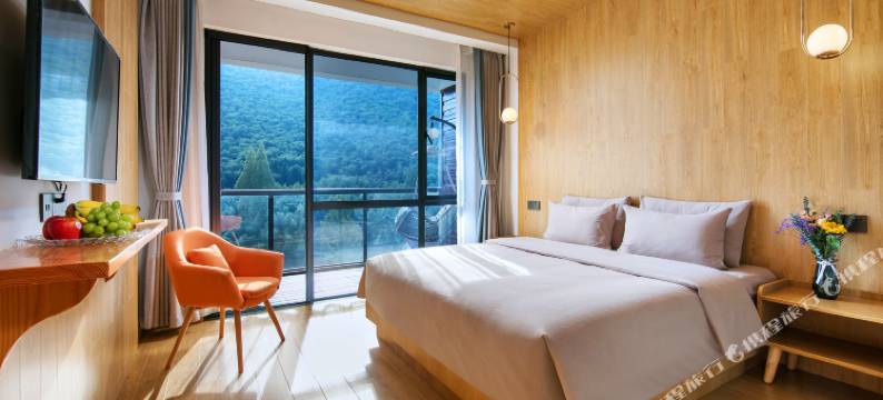 莫干山白云琴舍民宿(后坞村景区店)图片