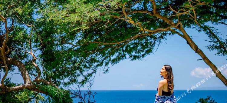 巴厘岛悬崖营地(Bali Cliff Glamping)图片