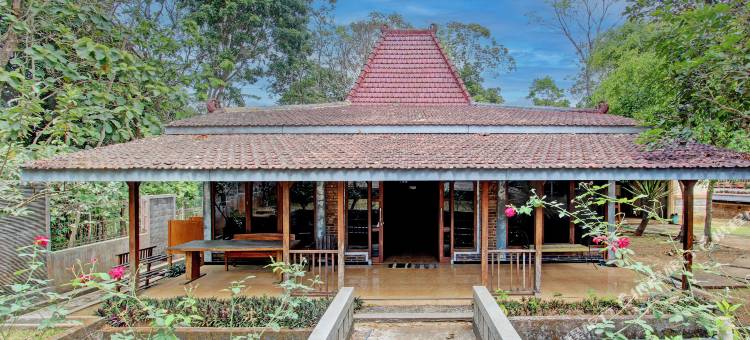 O酒店 MTC双层床(Hotel O Mtc Bunk Bed)图片