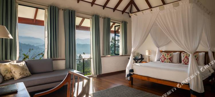 茶花山(Camellia Hills)图片