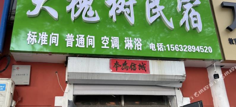 大槐树民宿图片