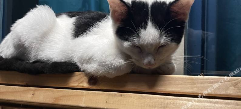 小明青年驿站(鼓楼店)图片