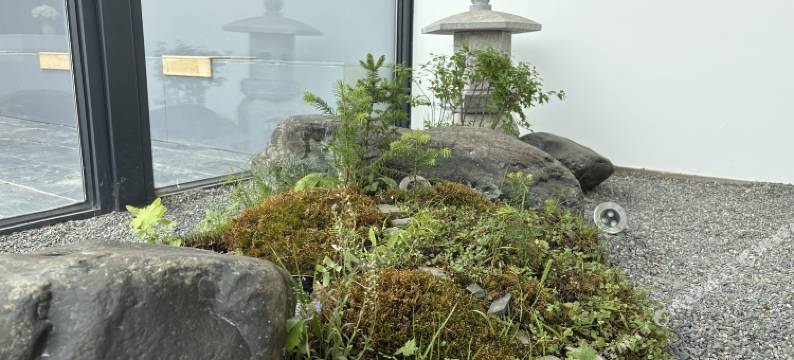 喀纳斯回家·悠山雅居图片