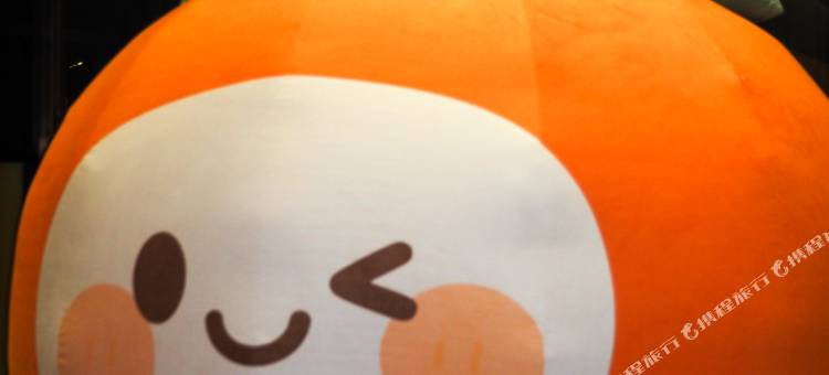 淮安雷卡纳酒店图片