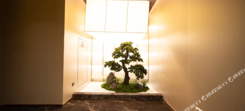 唯朵柏悦酒店(万达广场店)图片