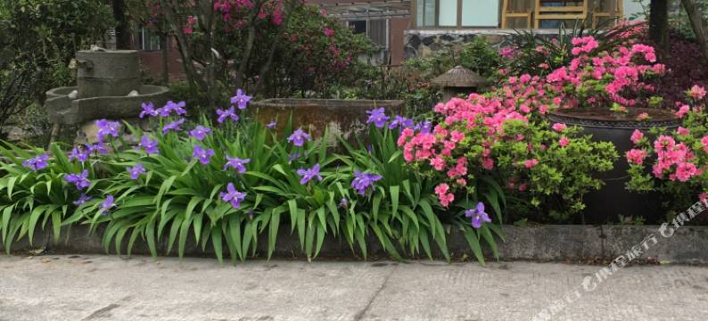 峨眉山云境别院(金竹林度假区店)图片