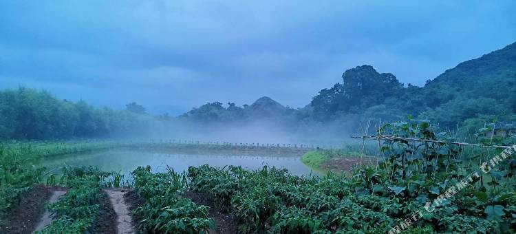 上甘棠寿隆桥客栈图片