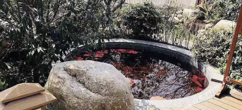 无锡有闲原色民宿(灵山大佛拈花湾店)图片