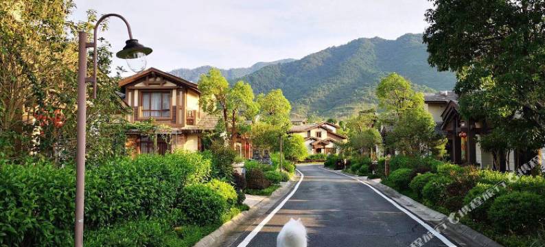 佛冈碧桂园馨游温泉别墅图片