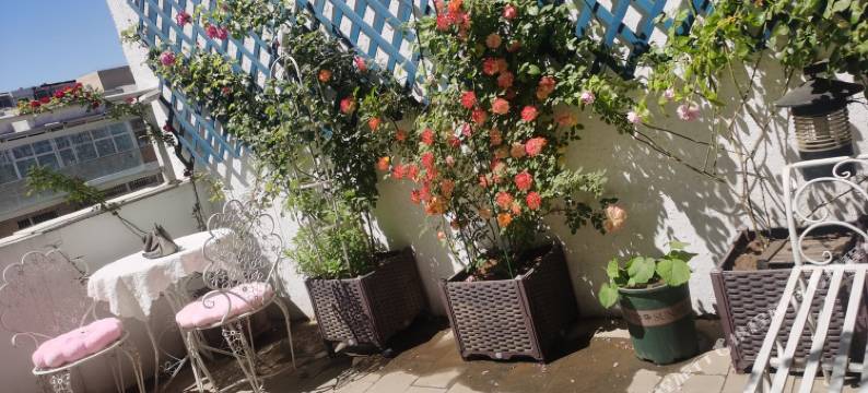 房东小彤彤公寓(车站北街分店)图片