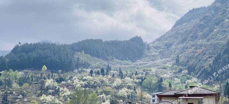 金佛山金水湾露营基地图片