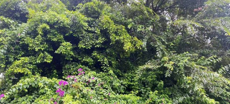 海宁荣升商务宾馆图片