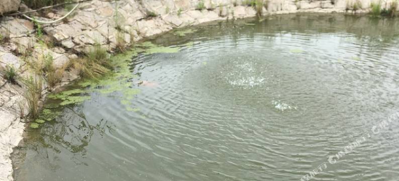 横道河子東山大营民宿图片