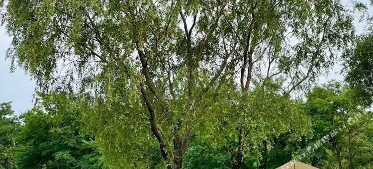 云上谷海边民宿(阿那亚黄金海岸社区店)图片