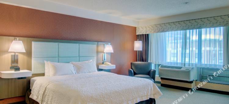 希尔顿欢朋套房酒店-波士顿市中心(Hampton Inn & Suites Boston Crosstown Center)图片