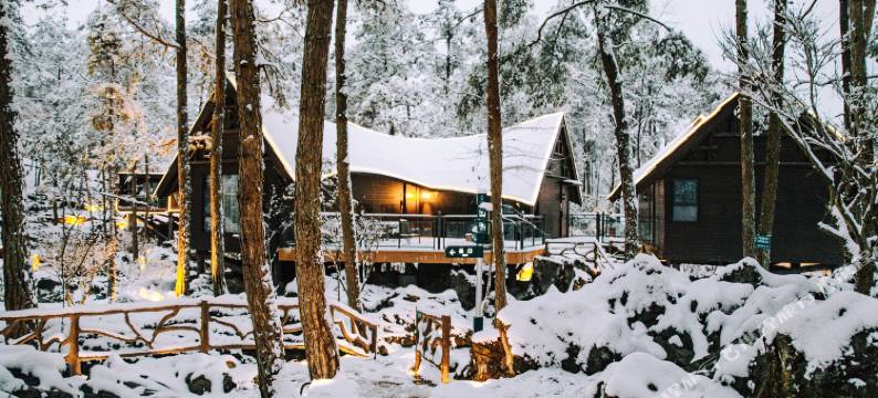 酉阳桃花源森林酒店图片