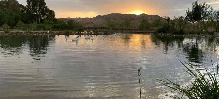 戈壁清泉酒店图片