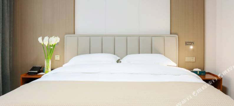 太原梧桐大厦酒店图片