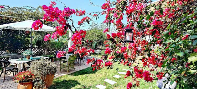 抚仙湖湖影客栈图片