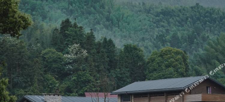 村头芳 · 若谷山房图片