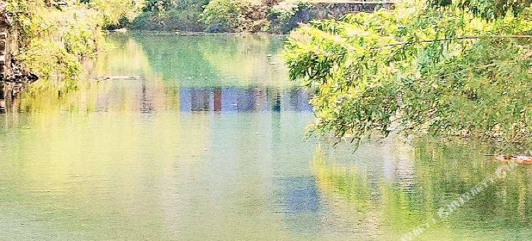 大方桃花源大酒店图片