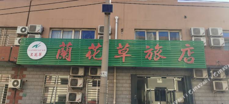 阜新兰花草商务旅馆图片