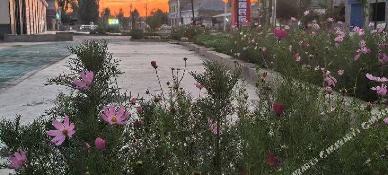 拾光雅居·Beautiful sky丨原野美宿(尼勒克店)图片