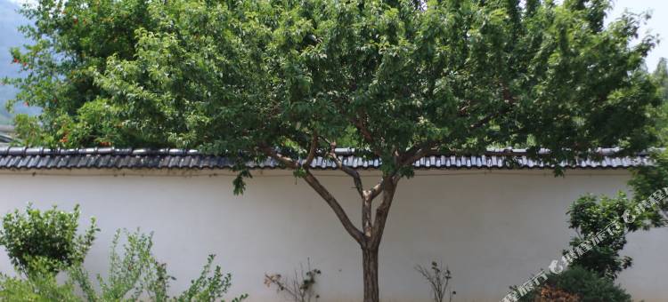 睢园民宿(雅达·阳羡溪山小镇店)图片