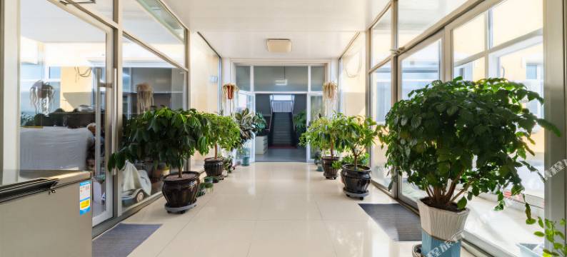 奉泰空港宾馆(沈阳桃仙机场新市政府店)图片