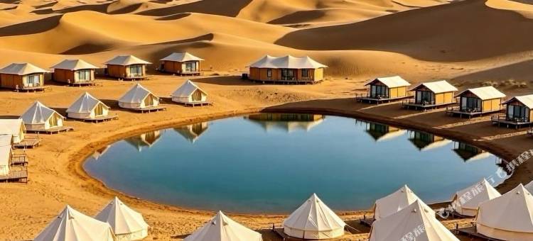 驼铃坡·沙漠Desert度假露营地图片