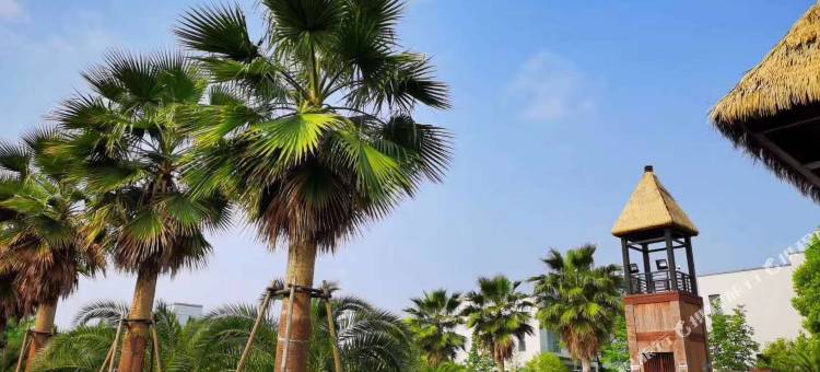 斯维登 · 精品度假村(千岛湖六合浅山店)图片