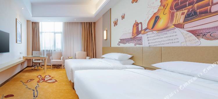 维也纳酒店(龙州店)图片