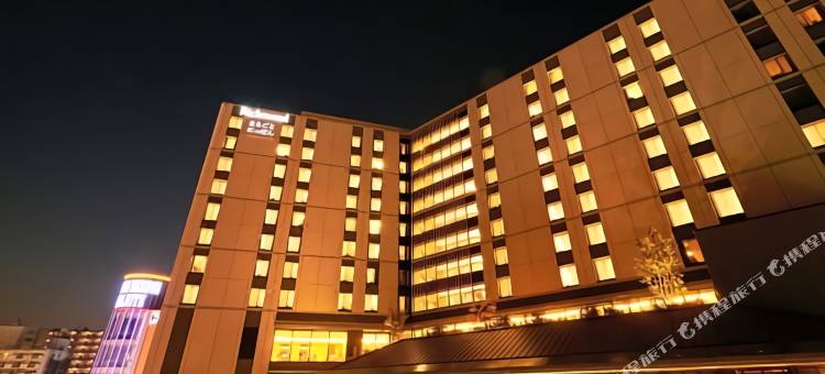 里士满浅草国际酒店(Richmond Hotel Premier Asakusa International)图片