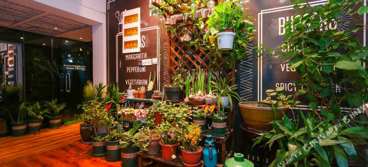 柏维酒店(濮阳大庆路万嘉360广场店)图片