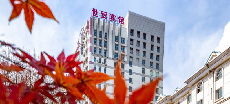 西宁城中世贸宾馆图片