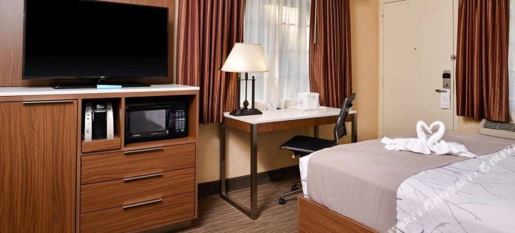 好莱坞广场贝斯特韦斯特酒店(Best Western Hollywood Plaza Inn Hotel - Hollywood Walk of Fame La)图片