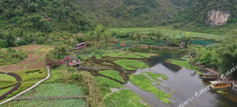 靖西且停停客栈(鹅泉景区店)图片